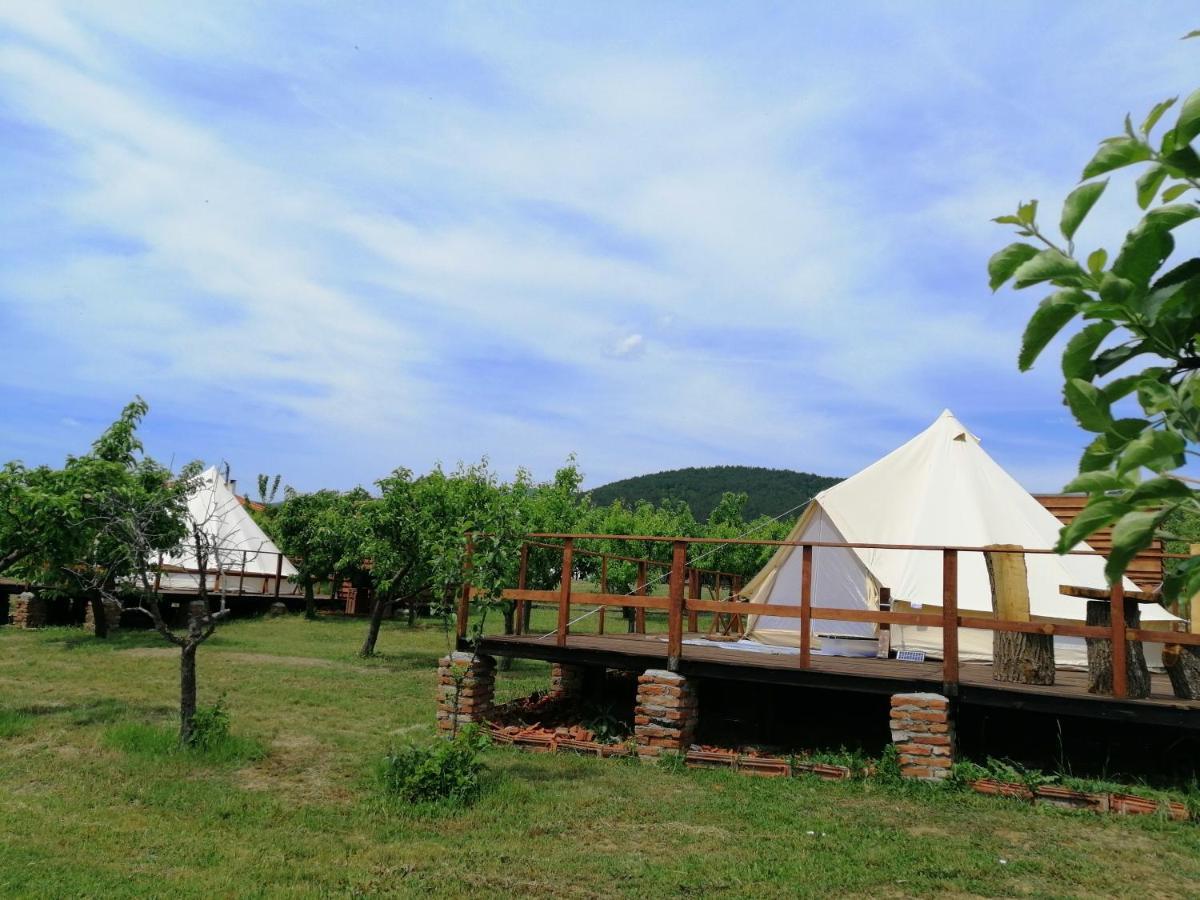 Calla Retreat *