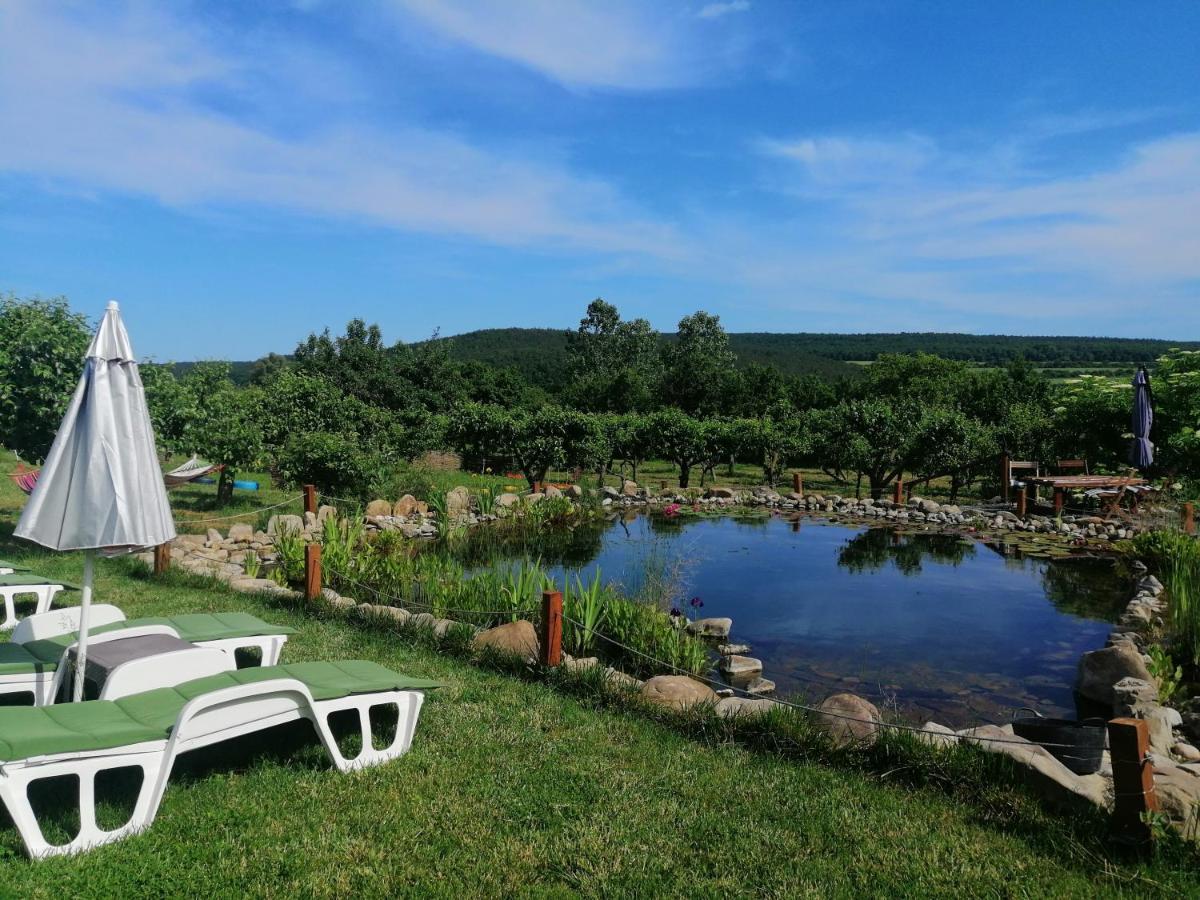 Calla Retreat אכסניה Vezenkovo