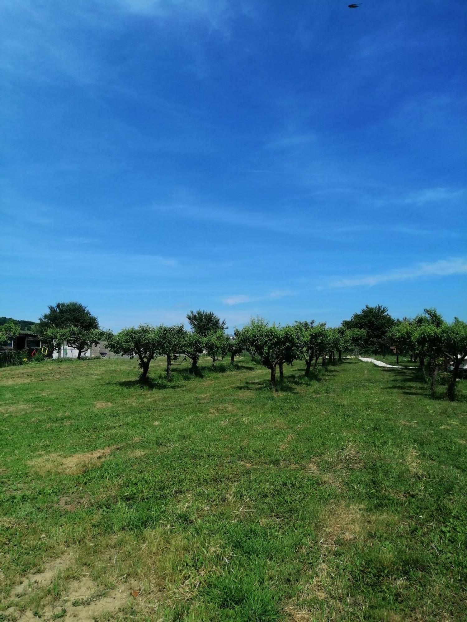 אכסניה Calla Retreat