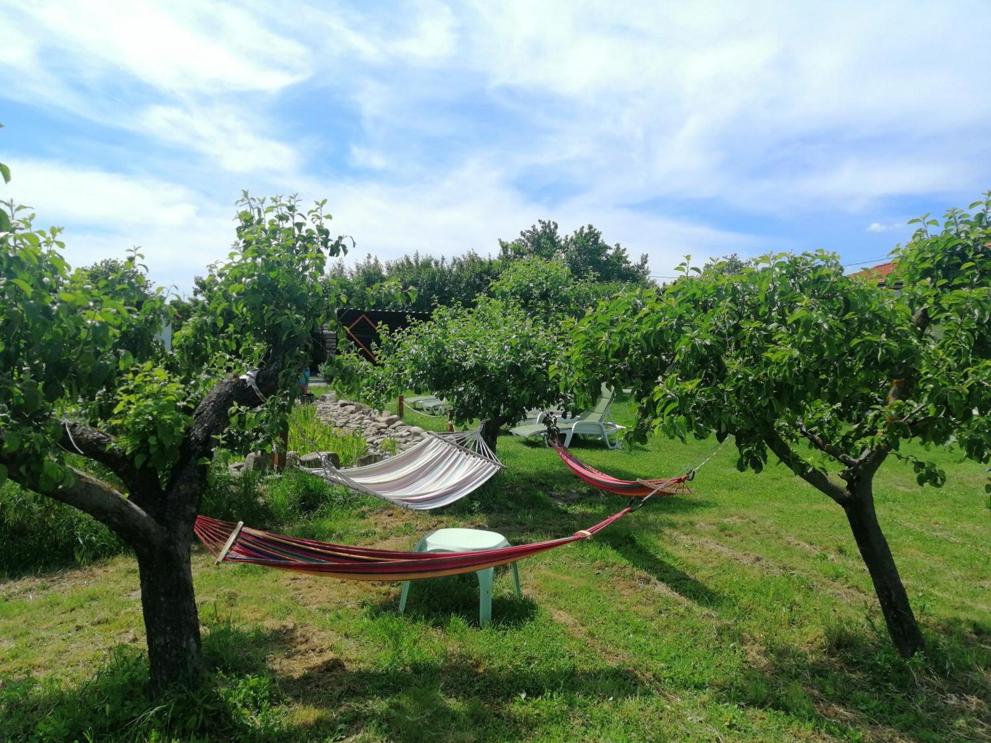Calla Retreat אכסניה Vezenkovo